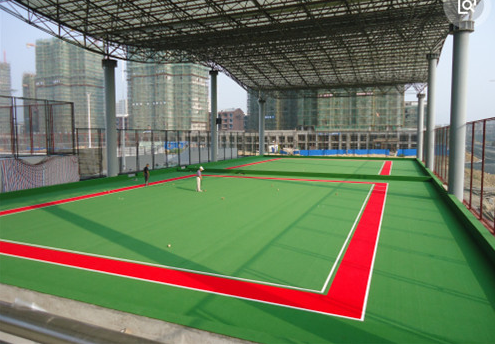 大上實業(yè)門球場